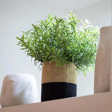 Apartamento Navona Modern By In Roma