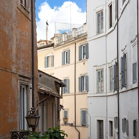 Navona Modern By In