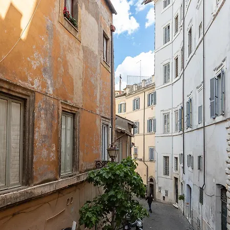Navona Modern By In